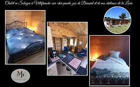 Chalet En Sologne A Villefranche Sur Cher